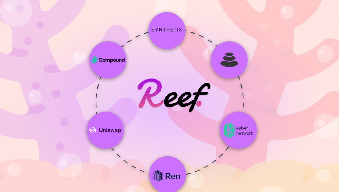 REEF Coin Yorum