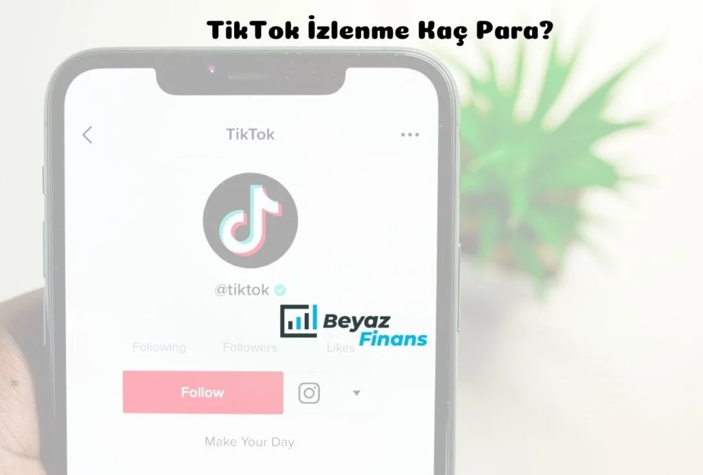 TikTok İzlenme Kaç Para